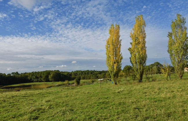 Perigord House With Private Swimming Pool in the Middle of Unspoiled Nature - Foto 48