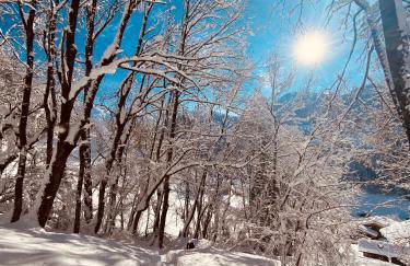 CHALET LYOBA - Photo 31