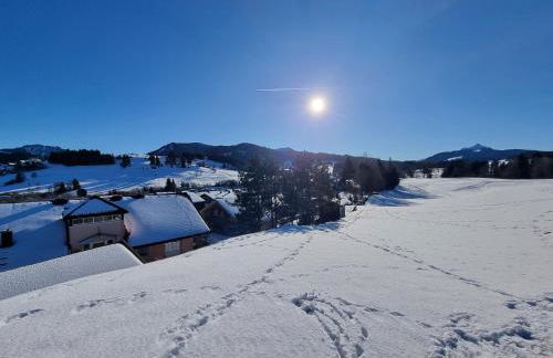 Wertacher Hörnleblick - Photo 18