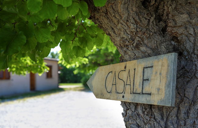 Casale Talevi - Foto 29