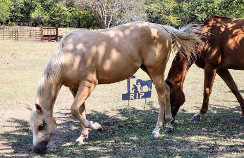 Hand-Built Black Fork Cabin 2 with Fire Pit! - Foto 29
