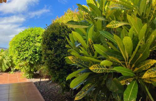 Las Papayeras - Foto 32