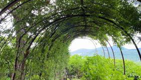 Lodge Villa Maria - Foto 2