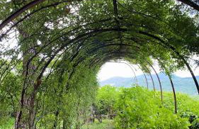 Lodge Villa Maria - Foto 2