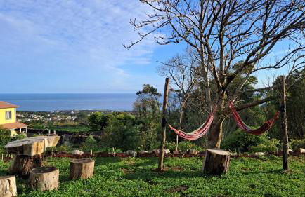 Biscoitos Top View - Photo 22