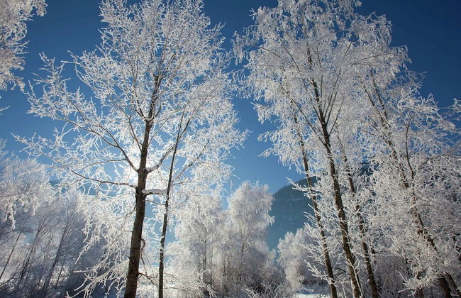 Tasteful Holiday Home in Hollersbach im Pinzgau With Garden - Foto 34
