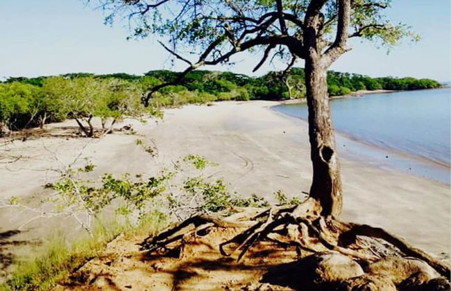 Hermosa Quinta en Costa Pájaros - Photo 17