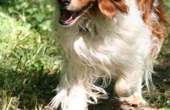 Crylla Valley Cottages - access to pool, gym, spa and more - Photo 50