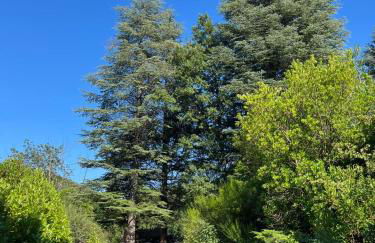 Maison d'hôtes avec piscine à Saint Jean du Gard, Les Ecuries de la Magdelaine - Foto 20