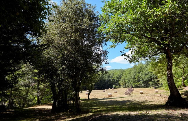 Le Gîte étoilé - Foto 21