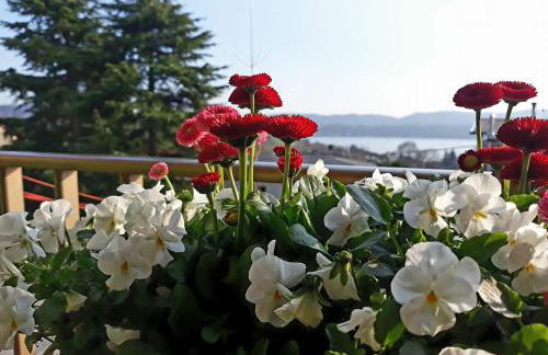 Al numero61 - Foto 6