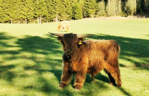 Stylische Wohnung, toller Ausblick Selbst-Check-in - Foto 25