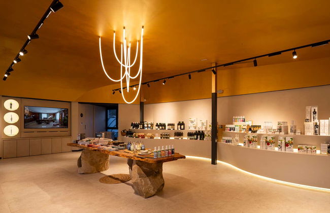 Visita al frantoio Oleícola Jaén con degustazione di olio - Foto 7