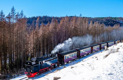 Apartment Brockenblick mit tollen Blick und Schwimmbad - Foto 20