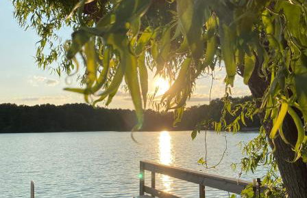 Das Seehaus Buckow - Foto 26