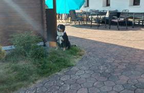 Ferienhaus Birkelbach - Foto 29