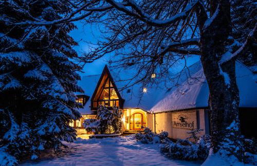 Landhaus Amselhof Hinterzarten - Foto 1