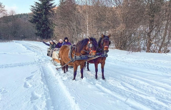 Końska Dolina - Photo 43