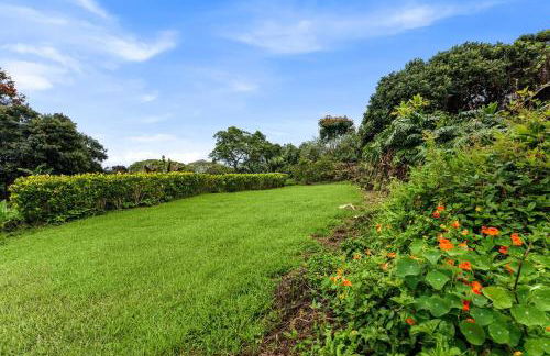 Orchid Hale - Foto 63