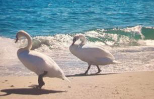 La dimora di Anna - Foto 19