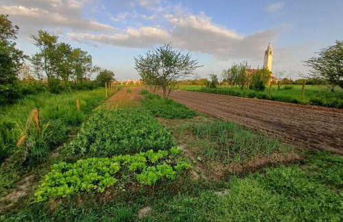 Kuća za odmor MIRA Vukovar - Foto 34