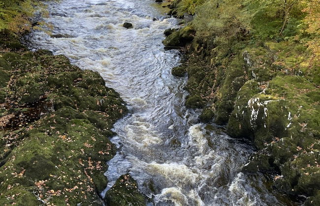 Charming Two Bed Cottage Glan Gwna Holiday Park - Photo 11
