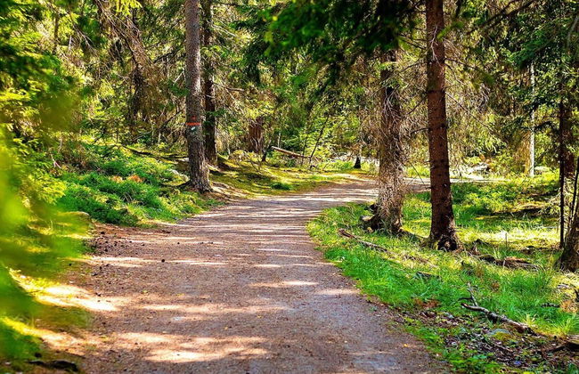 4 Person Holiday Home in Ljusdal - Photo 36