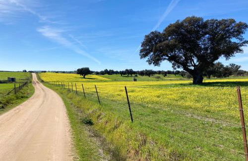 Comfortable House with Shared Pool in Alcaracejos - Foto 18