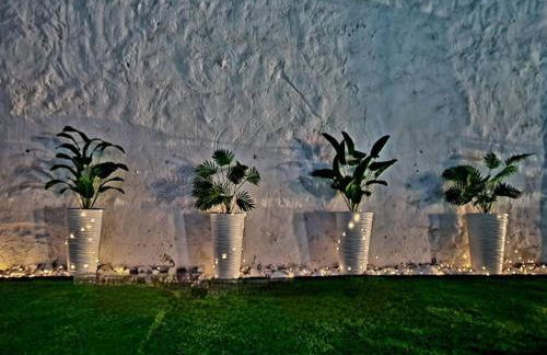 La casa del árbol - Foto 17