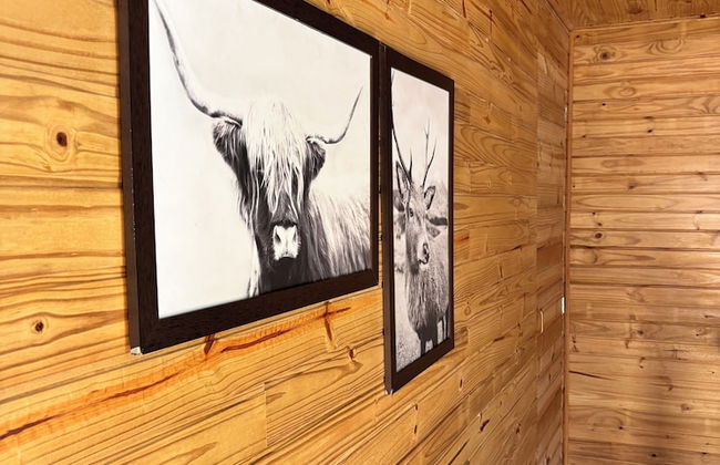 Into the Wild - Foto 20