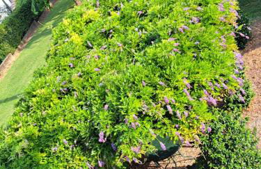 Torre Colombaia - Foto 54