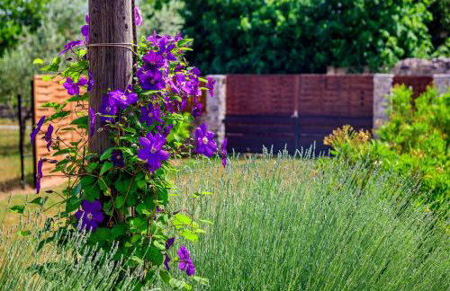 Sunny house - Foto 52