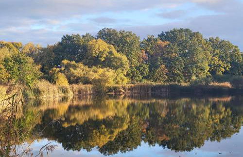 Urlaub im Neuseenland - Foto 40