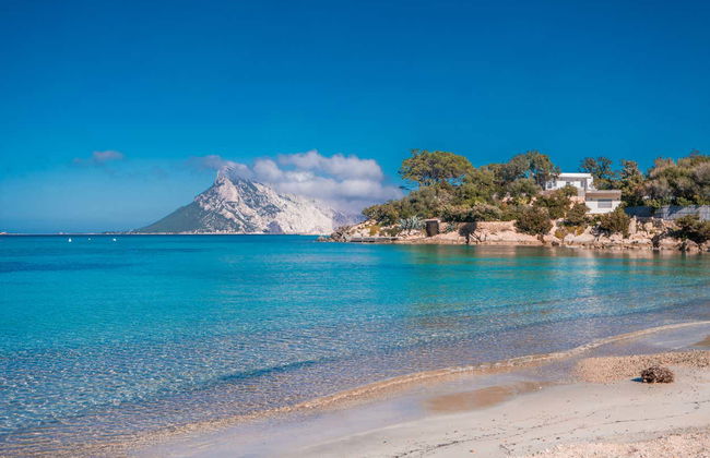 Giro in veliero nell'area marina della Tavolara - Photo 5