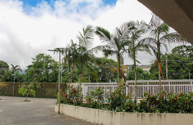 Apartamento Jardim Das Palmeiras - Foto 28