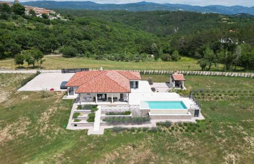 Green Forest - Photo 35