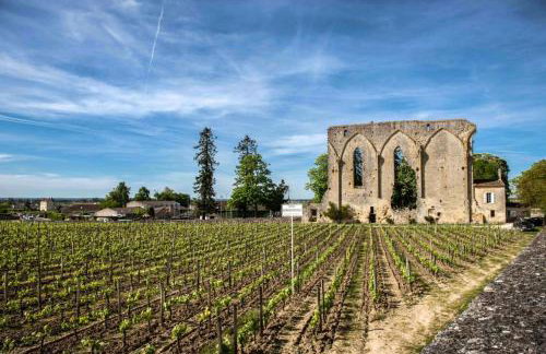 Maison en pierre avec jardin et vue vigne - St-Émilion - Foto 32