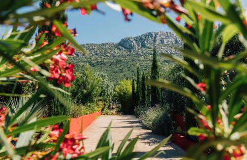 Villa Tropica, total privacy, tropical garden and private pool - Photo 65