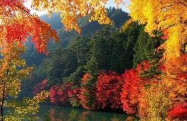 Apartments Božić - Foto 24