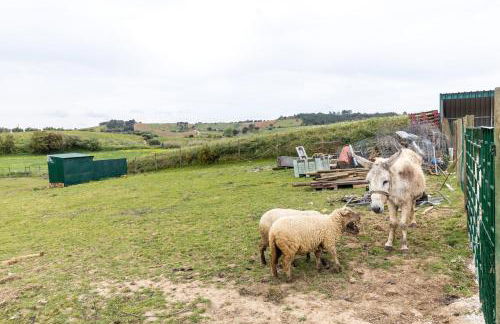 Quinta do Selão - Foto 26