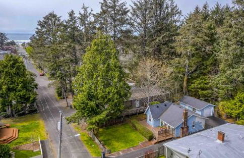 Cathys Cottage - Photo 33