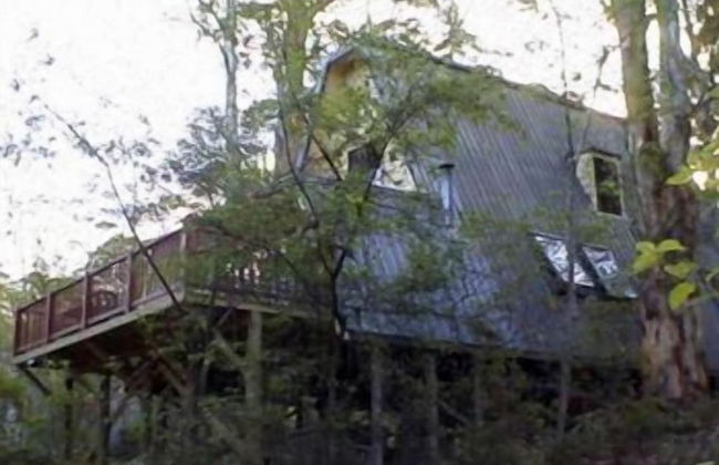 Green Leaves Cabin - Foto 1