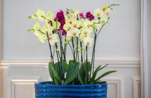 Luxury Apartment in Paris Center - Louvre Museum - Foto 5