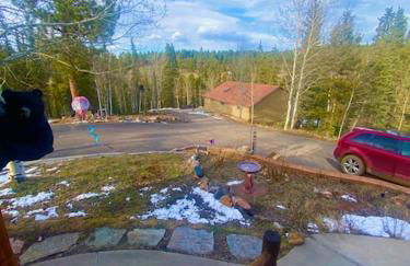 Rocky Mountain Retreat - Foto 23