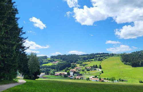 Bergzauber Bayerwald - voll ausgestattetes Familienapartment mit Pool - Foto 16