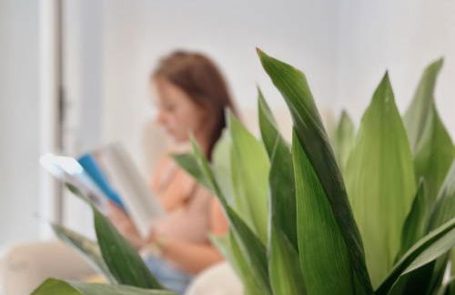 Casa Rural Puebla Deluxe l Privacidad e intimidad - Foto 6