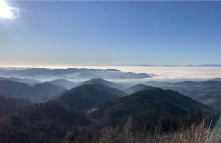 Ferienwohnungen Golla-lang - Foto 9