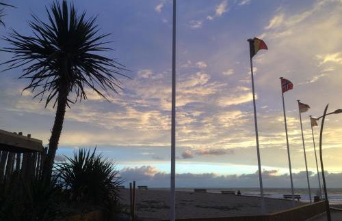 La maison d'été de mes parents - Foto 19