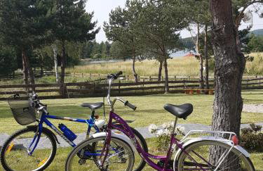 Mazury "Willa Ślimakowo" w Pasymiu - jacuzzi, sauna, pomost, łódka, rower wodny - Photo 43