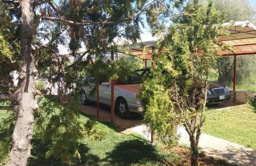 Ktima Anastasia - Foto 40